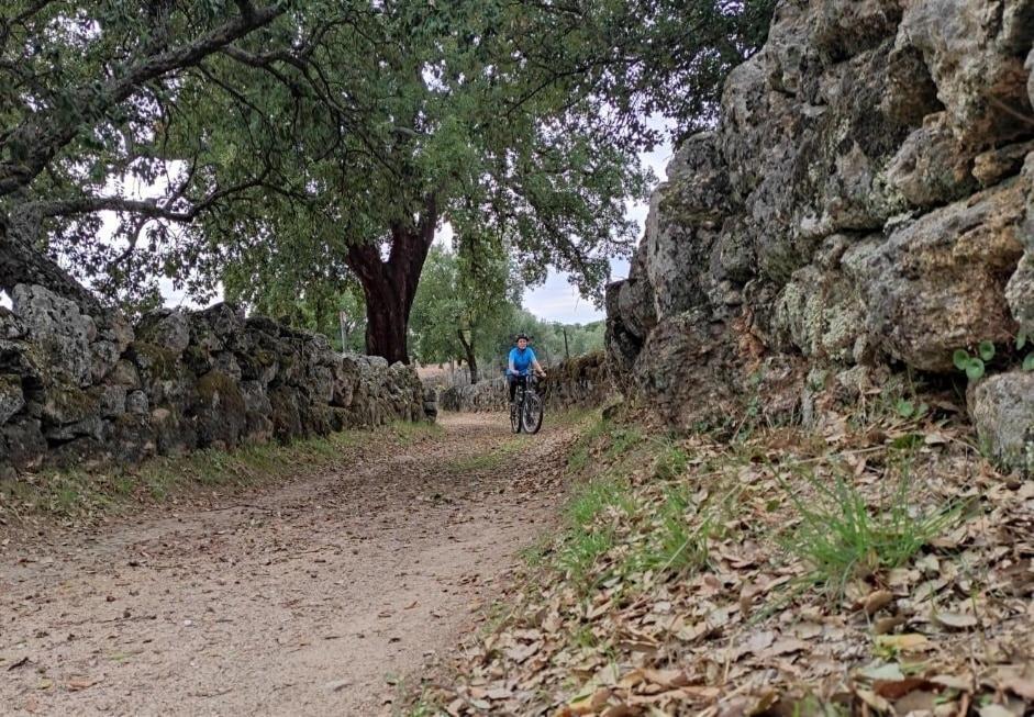 Escalos de Cima Alto Do Sobreiro 빌라 외부 사진
